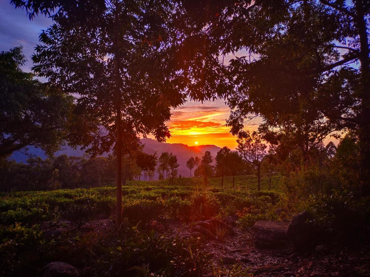 Eco Lodge Haputale-Camping Sri Lanka المظهر الخارجي الصورة