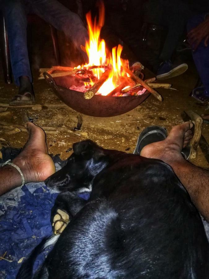 Eco Lodge Haputale-Camping Sri Lanka المظهر الخارجي الصورة