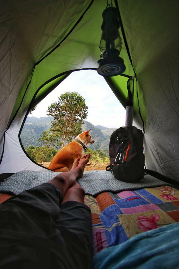 Eco Lodge Haputale-Camping Sri Lanka المظهر الخارجي الصورة