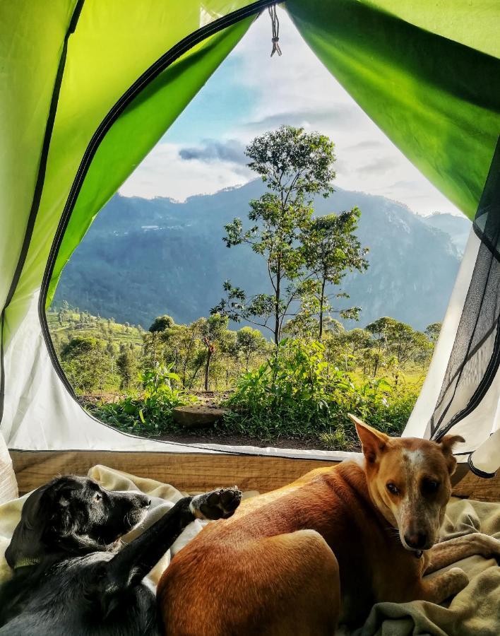 Eco Lodge Haputale-Camping Sri Lanka المظهر الخارجي الصورة